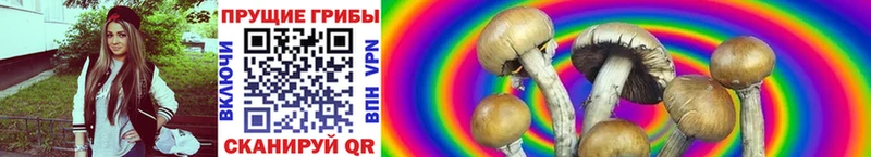 Купить где Вологда Псилоцибиновые грибы ЛСД